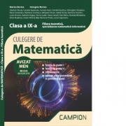 Culegere de matematica. Filiera teoretica, specializarea matematica-informatica. Clasa a IX-a - Marius Burtea, Georgeta Burtea