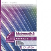 Matematica. Probleme si exercitii. Teste. Clasa a XI-a. Semestrul I. Servicii, resurse, tehnic - Marius Burtea, Georgeta Burtea