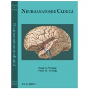 Neuroanatomie Clinica