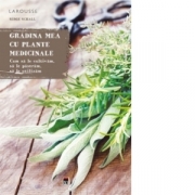 Gradina mea cu plante medicinale. Larousse - Serge Schall