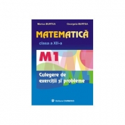 Matematica M1 - culegere pentru clasa a XII-a
