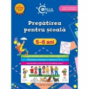 Pregatirea pentru scoala (5-6 ani). Copilul destept