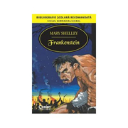 Frankenstein - Mary Shelley