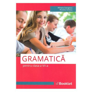 Gramatica pentru clasa a VII-a - Mihaela Georgescu, Nicoleta Ionescu