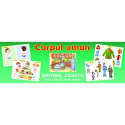 Planse Corpul uman