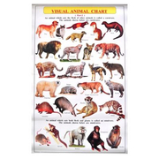 Visual Animal Chart. Level 2
