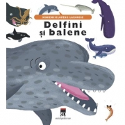 Delfini si balene - Larousse