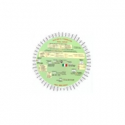 Discheta verbelor - limba italiana