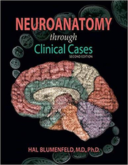 Neuroanatomy through Clinical Cases - Hal Blumenfeld