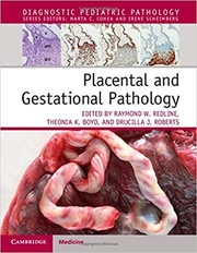 Placental and Gestational Pathology Hardback with Online Resource - Raymond W. Redline, Theonia K. Boyd, Drucilla J. Roberts
