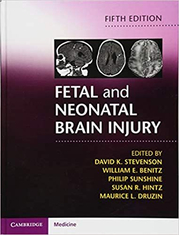 Fetal and Neonatal Brain Injury - David K. Stevenson, William E. Benitz, Philip Sunshine, Susan R. Hintz, Maurice L. Druzin