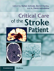 Critical Care of the Stroke Patient - Stefan Schwab, Daniel Hanley, A. David Mendelow