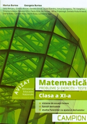 Matematica - Probleme si exercitii, teste pentru clasa a XI-a