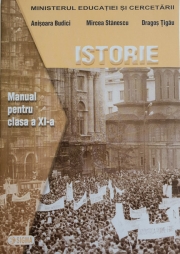 Manual de istorie pentru clasa a XI-a (Anisoara Budici )