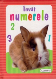Invat numerele!