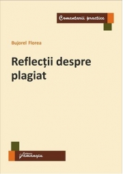 Reflectii despre plagiat