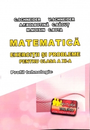 Matematica - Exercitii si probleme pentru clasa a XI-a. Profilul Tehnologic - Elemente de teorie, exercitii si probleme rezolvate, exercitii si probleme propuse