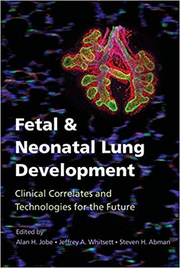 Fetal and Neonatal Lung Development: Clinical Correlates and Technologies for the Future - Alan H. Jobe, Jeffrey A. Whitsett, Steven H. Abman