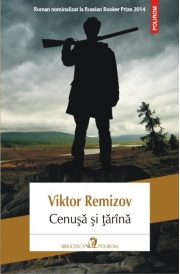Cenusa si tarina - Viktor Remizov