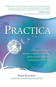 Practica. Instrumente simple pentru combaterea stresului, gasirea linistii interioare si descoperirea fericirii - Barb Schmidt